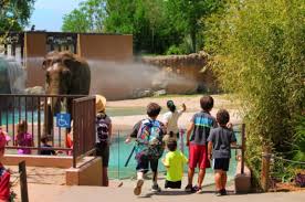 Kids activities in denver, co : The Perfect Four Day Itinerary For Denver With Kids Museums Outdoors