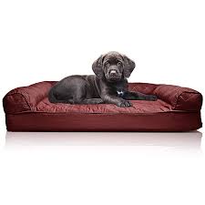 We offer plush, tweed, waterproof dog beds, and dog chesterfields. Hot Sale Comfortable Dog Bed Soft Cheap Funny Cute Pet Cushion Dog Beds Large Different Color Pet Kennel Dog Nest Furniture Buy Lucky Pet Dog Beds Flat Pack Sofa Beds Designer Luxury