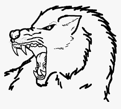 Connect the ear to the large circle using a curved line. More Like Wolf Drawing By Howling Easy Mean Wolf Drawings Hd Png Download Transparent Png Image Pngitem