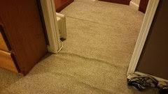 The home depot's home services team offers free installation on carpet in fort worth. Carpeting By Lowes Or Home Depot Anyone Ever Use Them