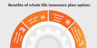 Can you withdraw cash value of life insurance. How To Secure Your Future With Whole Life Insurance