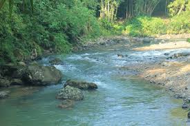 Suku baduy dalam sangat fanatik terhadap makanan. Suku Baduy Bersinergi Dengan Alam Menjaga Aturan Adat Indonesia Kaya