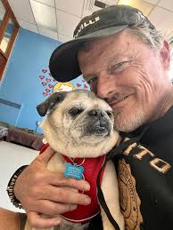 Hermes Hounds-Loved Like Family