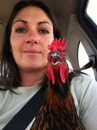 Hello, From Sunny Sandy Eggo!