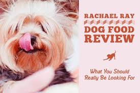 This item:rachael ray nutrish super premium dry dog food, chicken & veggies recipe $41.42($0.06 / 1 ounce). Rachael Ray Dog Food Review 2021 Totally Goldens