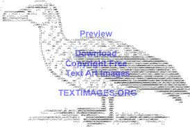 Birds Of A Feather Lyrics Species Albatross Wings Fly Bird Feathers Bird Feathers Wings Birds