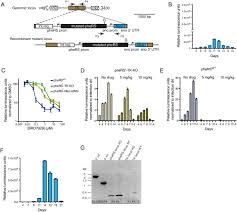 Genetic crosses within and between species of Cryptosporidium | PNAS