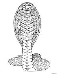 Coloriage Serpent Mandala Adulte Dessin Serpent à imprimer