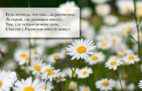 Топ самых прикольных поздравлений с днем семьи, тексты в стихах и прозе, а также картинки с пожеланиями любви и верности. Den Semi Lyubvi I Vernosti Krasivye Stihi I Pozdravleniya