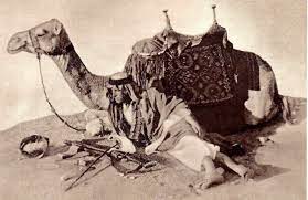 Due to his knowledge of the native bedouin tribes, british lieutenant t.e. T E Lawrence Or Lawrence Of Arabia With Camel And Enfield Rifle C 1917 772x500 Historyporn