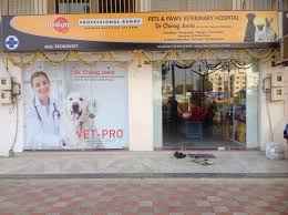 At plaza pet clinic, we emphasize wellness and preventative care. Pets Paws Veterinary Hospital Naroda Hospitals In Ahmedabad Justdial