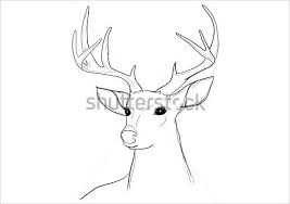 Drawing a buck deer (or boy deer) can look complicated, but its easy if you take your time. 24 Free Deer Drawings Designs Free Premium Templates