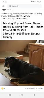 538 avon ave sw, new philadelphia, oh 44663. Pet Cove Home Facebook