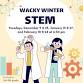 Wacky Winter STEM Club event image
