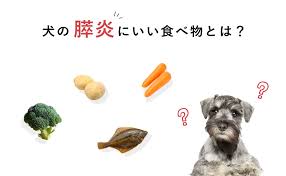 INUMAG（イヌマグ）