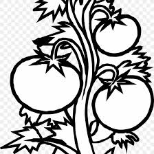 We did not find results for: Coloring Book Plant Cell Tomato Fruit Png 1500x1500px Coloring Book Artwork Black And White Branch Carnivorous
