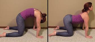 The cat pose (marjaryasana) in yoga stretches and strengthens your spine to help improve your posture and balance. Yoga For You Cat Cow Poses The Edge Magazine