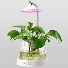 Every grow room is different, and not every crop calls for intense plasma lighting. Other Considerations For Indoor Gardening Under Red Blue Lights It S Normal For Your Plants To Be A Dark Grow Lights For Plants Plant Grow Light Grow Lights