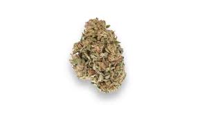 Cbd oil can be purchased through a licensed producer (lp) for patients who have a medical prescription to consume cannabis. Medical Marijuana Dispensary In North Phoenix Giving Tree Dispensary