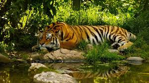 Image result for top images hd