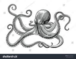 Octopus Hand Drawing Vintage Engraving Illustration On White Backgroud Engraving Illustration How To Draw Hands Octopus Art Drawing