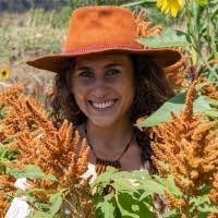 1200+ "Pulaski" profiles