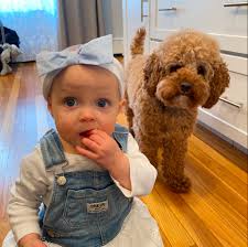 Happy 3rd Birthday to the floofiest guard dog🎂🎉 Even though we abruptly  added two little humans to your world when you were only 1 year old, you  have been the best big