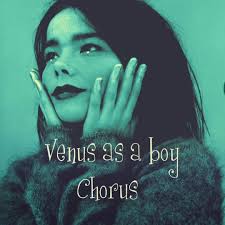 He believes #bjork #venusasaboy #chorus #spedup