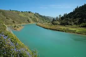 Marceleno and his crew showed up and within 4 hours and 30 minutes not only did a bang up job but removed the branches and other cuttings to the front yard and put them in the chopper. Navarro River Wikipedia