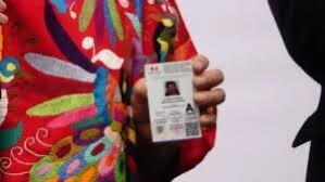 ¿Quién puede tramitar la licencia permanente sin cita y totalmente en línea?