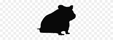 You can download 1000*1150 of hamster background now. Icone Hamster Hamster Png Stunning Free Transparent Png Clipart Images Free Download