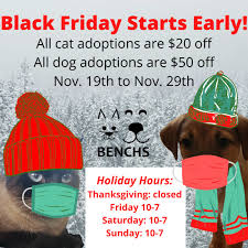 Pet grooming in mankato, mn. Blue Earth Nicollet County Humane Society Benchs Bbenchs Twitter