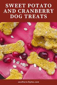 Sweet Potato Oat And Cranberry Dog Treat Recipe Cranberry Dog Treats Dog Treat Recipes Thanksgiving Dog Treats
