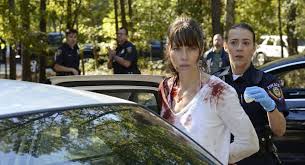 We take a look at the best. 20 Best Detective Shows On Netflix 2021 2020 Cinemaholic