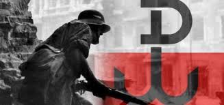 Stawiamy na najwyższej jakości ubrania patriotyczne, wyprodukowane w polsce, cechujące się trwałością i komfortem noszenia. 75 Rocznica Powstania Warszawskiego Oficjalna Strona Urzedu Miasta Szczecinek