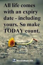 Pin On Success