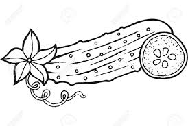 Download and print cucumber coloring pages for kids! Cucumber Coloring Page Hand Drawn Illustration For Adult And Royalty Free Cliparts Vectors And Stock Illustration Image 80337373