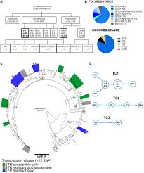 The arcade next to wong tai sin temple is two floors. Frontiers Heterogeneous Streptomycin Resistance Level Among Mycobacterium Tuberculosis Strains From The Same Transmission Cluster Microbiology