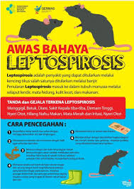 Leptospirosis is a blood infection caused by the bacteria leptospira. Kemenkes Ri Sur Twitter 4 Leptospirosis Penyakit Ini Ditularkan Melalui Kencing Tikus Penularannya Masuk Dlm Tubuh Manusia Lewat Selaput Lendir Mata Hidung Kulit Lecet Makanan Gejala Leptospirosis Yakni Menggigil Batuk Diare