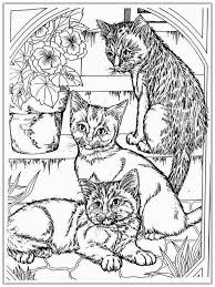 I hope you've enjoyed this collection of cute cat coloring pages for kids! Cat Coloring Pages Free Coloring Home