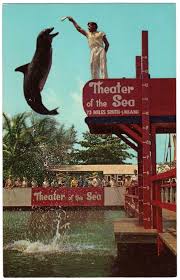 Theatre Of The Sea Porpoise Florida Keys At Islamorada Fl Chrome Postcard Key West Vacations Florida Travel Travel Key West
