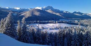 8,151 likes · 191 talking about pod nosalem zima w pełni. Zima Kierunek Zakopane Kbc24