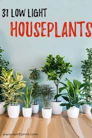 Additionally, they were listed by nasa as one of the best air purifying. 31 Low Light Houseplants For Indoor Garden Low Light House Plants Indoor Plants Low Light Houseplants Low Light