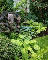 Helena Hansson On Instagram God Morgon Foto Fran Juli Gron Rabatt Pa Framsidan Med Olika Hostor Ormbunkar Klippstand Oxbar Rh Plants Garden Vegetables