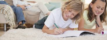Be very detailed when you communicate with each house cleaner so you both are on the same page with exactly what you want done in your home. Knox Dry Carpet Cleaning Home Knox Dry Carpet Cleaning