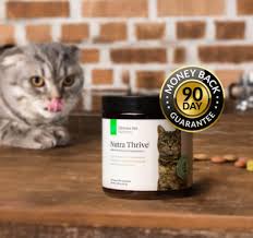 Nutrathrive is a bacon flavored powder supplement. Nutra Thrive For Cats Reviews Our Verdict Cat Loves Best