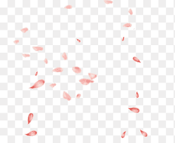 It is turned away from us so we see the bottom of the flower, not the top. Flower Paper Drawing Falling Petals Triangle Symmetry Png Pngegg