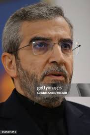 283 Amer Ali Stock Photos, High-Res Pictures, and Images