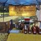 Bee-neath the Surface: A Beekeeping Adventure