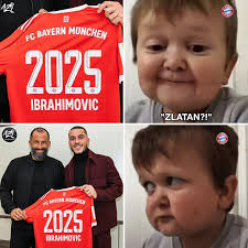 🚨🚨 Bayern Munich have a New Wonderkid in TOWN! 🥵⬇️ Arijon Ibrahimović  (17) for Bayern U19 : — League : 11 Games 16 GOALS ⚽️ — Cup : 2 Games 2  GOALS ⚽️ — UEFA YL : 5 Games 3 GOALS ⚽️ IBRAHIMOVIC 🔥🔥